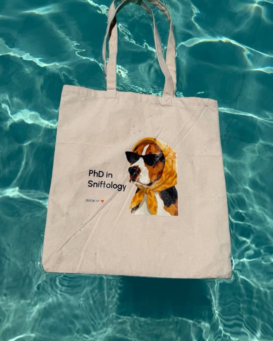 Sample Tote