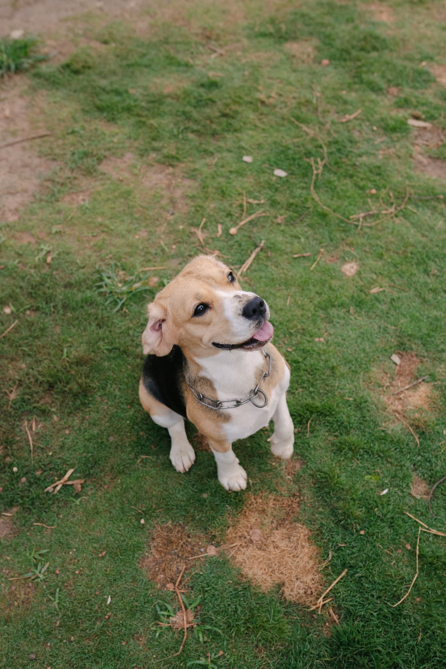 Sniff.
